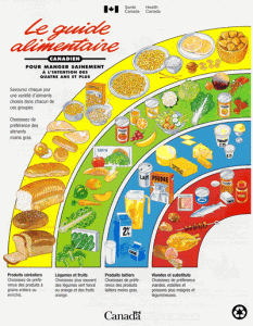 guide alimentaire 1992